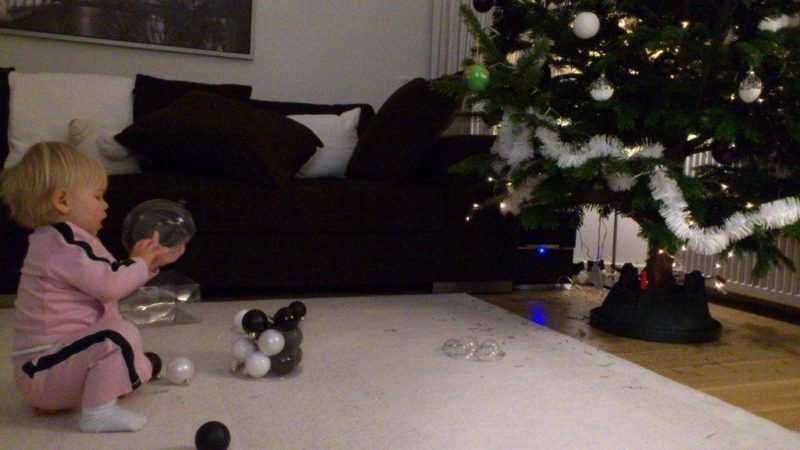 12kerstboom